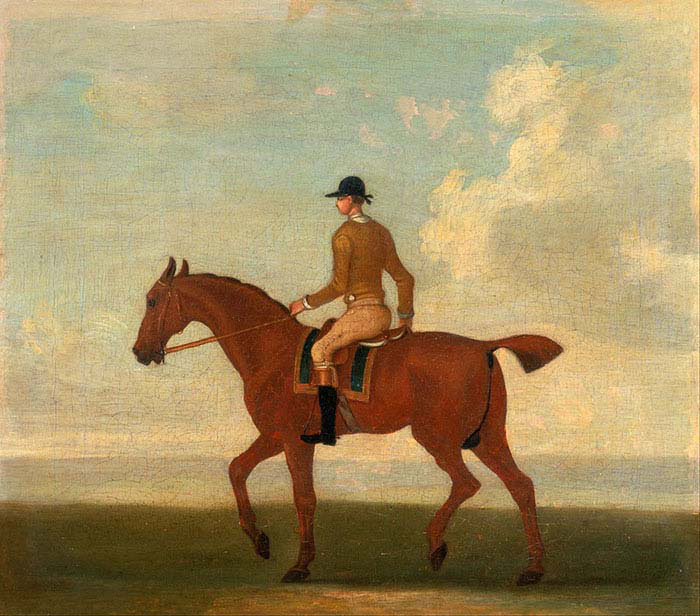Chestnut Racehorse with Jockey Up